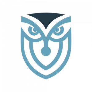 Azulo Owl